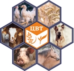 Раздел в разработке